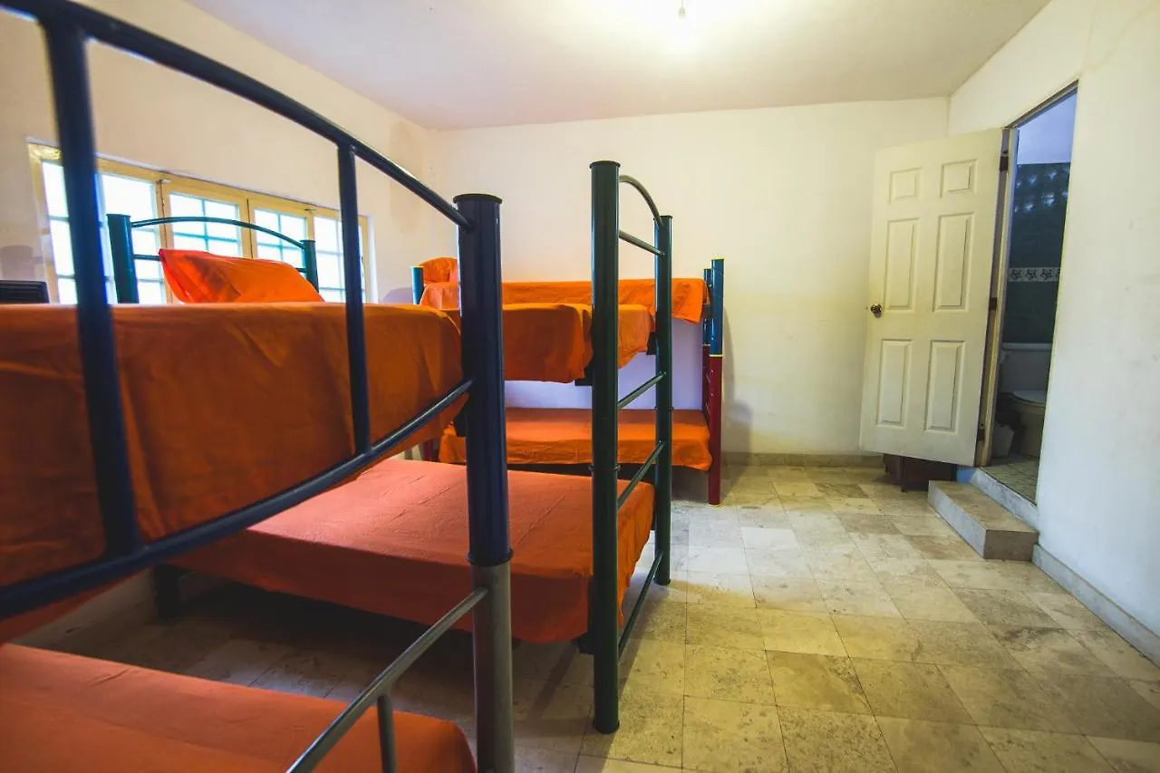 Oasis Hostel Puerto Vallarta 0*,  México