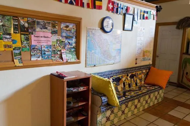Oasis Hostel Puerto Vallarta Mexico